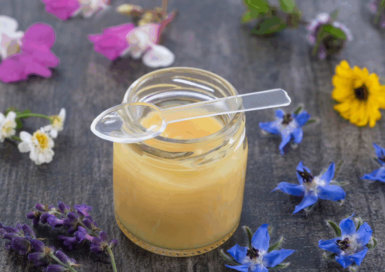 Miel natural y productos de la colmena en Girona